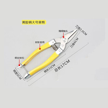 Cuijiang stainless steel fruit picking scissors, fruit picking scissors, sugar citrus scissors, vegetable and fruit scissors, fruit scissors, pruning scissors, large fruit scissors