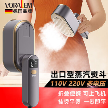 Germany 2024 new steam ironing machine 110v iron, united states, united kingdom, japan, south korea, portable handheld garment ironing machine, purple 110v american standard