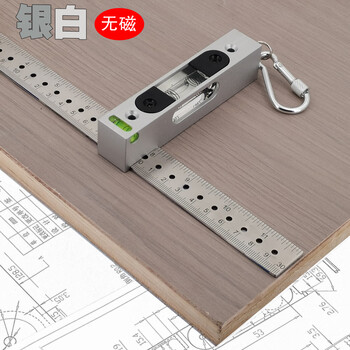 Taishilon metal high-precision adjustable level small strip level bubble rectangular 30cm ruler positioning hole silver non-magnetic 30cm ruler