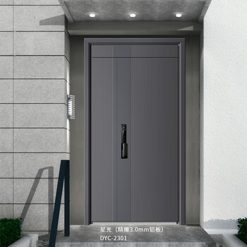 Diyicheng dyc-2301-xingguang entry door safety door anti-theft door