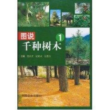 Illustration of thousands of trees 1