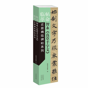 Revolution of immortal inscriptions, close-up and fine inscriptions series, zhiyong's 