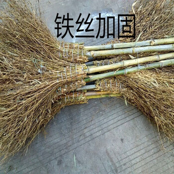 Wire bamboo broom long handle broom construction site sanitation property cleaning broom plastic broom reed sorghum wire broom