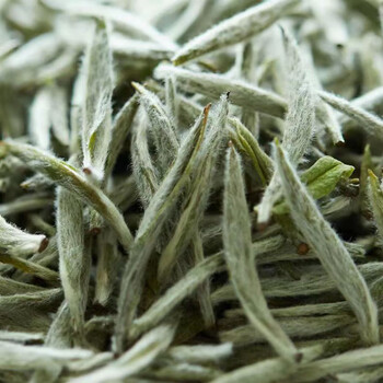 Gao chun ru guan 2023 fuding white tea snow queen silver needle tea rice grain bud pekoe silver needle pekoe millet needle default