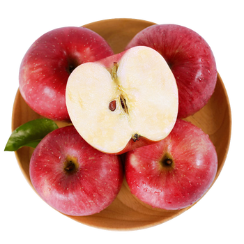 Longyuan red gansu jingning fuji 4 capsules 850g