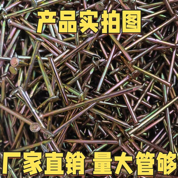 Vinoa high-strength cement nails woodworking steel nails household hard nails high-strength painting special nails concrete steel nails silver-2cm (sample 1)