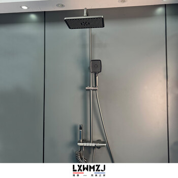 Lxwmzj brand/supercar atmosphere four-speed piano key hot and cold silent rain shower head gun gray