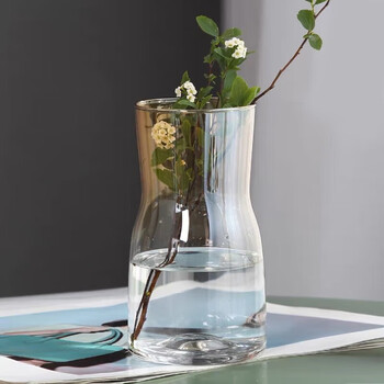 Extreme space vase glass vase rich bamboo bouquet water culture ecological bottle flower container nordic style vase ornament