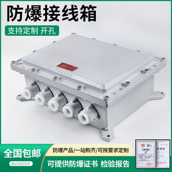 Explosion-proof distribution box bxj explosion-proof wiring empty box instrument power supply control shell maintenance power 300300150 explosion-proof type