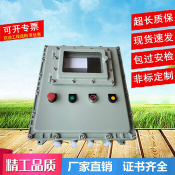 Instrument box touch screen liquid level power distribution control visual observation window number display temperature control weighing box 300*200