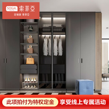 Sofia wardrobe customized whole house customized wardrobe customized restaurant customized living room tv background wall entrance shoe cabinet customized gold