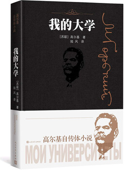 My university (golky's autobiographical novel) novel