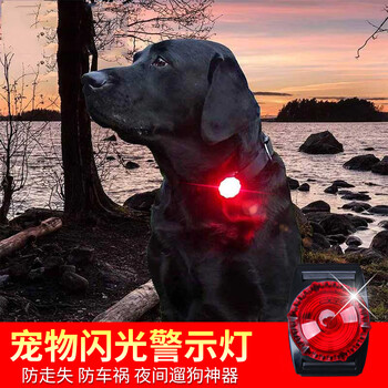 No-pet dog products, anti-lost dog walking lamp at night, anti-lost artifact, pet collar, luminous pendant, led luminous bell, red