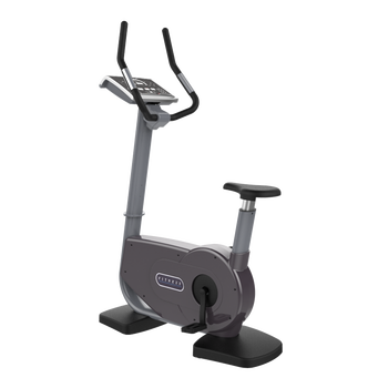 Boardron exercise bike commercial silent magnetic control indoor spinning sports fitness equipment gray