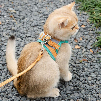 Slpc cat leash, cat rope, anti-breakaway vest, pet harness, teddy pomeranian small dog leash, green and orange splicing m (recommended 4 to 8 pounds)