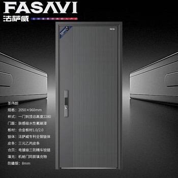 Fasavi shengweilang class a security door security entrance door + 8mm anti-pry steel