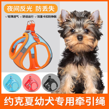 Special traction rope for yorkshire terrier puppies, dog walking rope, ultra-small dog, small dog, puppy chest and back dog rope, dog supplies, strap integrated traction rope, color matching orange, xs code, recommended 3-9 pounds