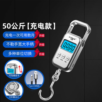 Ktrue high-precision portable electronic scale 10kg portable high-precision household express scale hook small scale spring small rechargeable storage bag 50kg50g