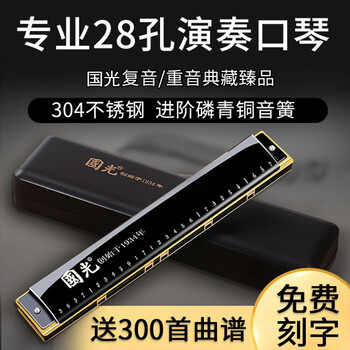 Guoguang harmonica professional performance level 28-hole accented german imported gongs polyphonic c key beginners entry black 28-hole polyphonic c key + self-study gift pack