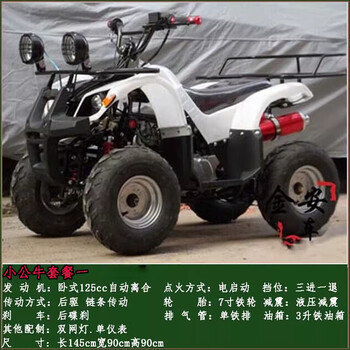 Septi atv four-wheel off-road motorcycle all-terrain big bull automatic electric mountain motorcycle four-wheel drive gasoline little bull package one