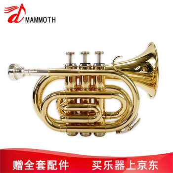 Mammoth palm trumpet pocket trumpet b flat brass trumpet instrument beginner school orchestra teaching b flat palm trumpet mht-e100