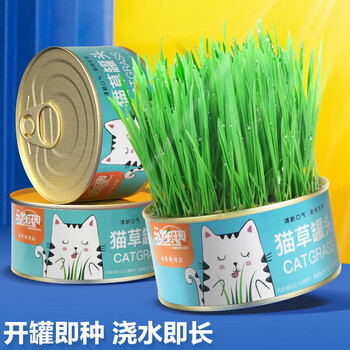 Hanhan paradise cat grass seeds soil culture potted canned dog and cat grass box 1 can lazy cat grass tablets cat snacks and cat supplies