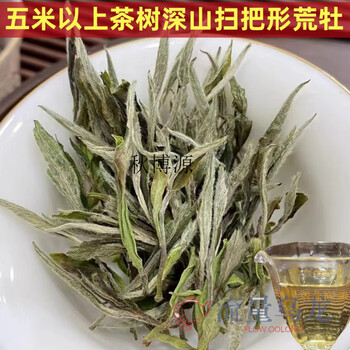 Qiu boyuan 2024 deep wasteland more than five meters old tea tree wild mu 500g mingqian white peony fuding white tea 2500g five-pound collection box