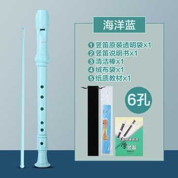 Swan recorder high-pitched german-style children and students, beginners practice six-hole and eight-hole flute instrument classroom teaching, ocean blue 6 holes + velvet bag + engraved name + teaching materials
