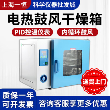 Yiheng dhg-9030a electric blast drying oven 200 degrees constant temperature oven industrial oven digital display constant temperature drying oven dhg-9013a (rt+10~200) 16l