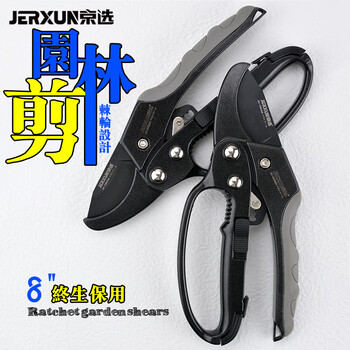 Jerxun ratchet pruning shears, gardening scissors, labor-saving anti-slip thick branch shears, fruit tree picking fruit tree flower branch scissors