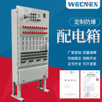 Customized stainless steel explosion-proof and anti-corrosion dust control box lighting power supply distribution cabinet instrument touch screen explosion-proof distribution cabinet