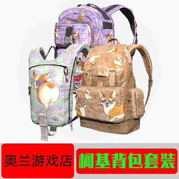Pubg pc game chicken playerunknown's battlegrounds backpack skin cdk gift redemption code corgi gang 123 level package set