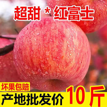 2024 sweet shaanxi authentic red fuji apple fresh crisp sweet rock sugar apple seasonal fruit whole box wholesale direct delivery from origin - net weight 8 jin packed medium fruit 60-70mm