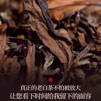 Fuding white tea authentic alpine shoumei white dew tea old white tea aged sun-dried autumn white dew grain jujube fragrance tea 500g 125g 500g packed in four large bags