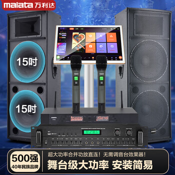 Wanlida outdoor audio set small and medium-sized performance stage wedding full-frequency high-power ktv bar speaker equipment dual 15-inch audio set + 1t karaoke machine