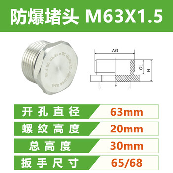 304 stainless steel explosion-proof plug m20g3/4npt1/2 junction box box outer hexagonal solid stuffy cover sealing wire plug m63*1.5