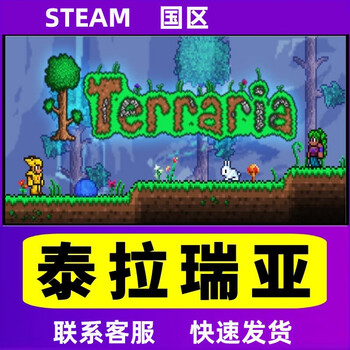 Steam pc genuine terraria terraria country gifts terraria mainland china