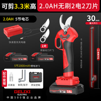 Delixi electric high branch saw 21v telescopic long pole saw rechargeable lithium battery electric chain saw garden high altitude fruit tree high branch shears 3.3m high branch single section pole + 2.0 two batteries and one charge