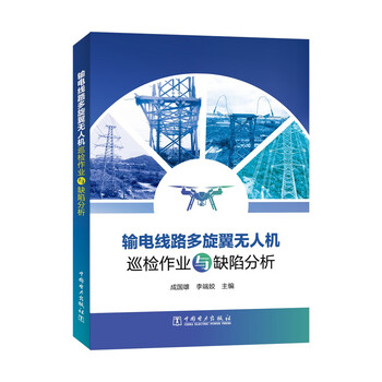 Multi-rotor drone inspection operations and defect analysis of power transmission lines