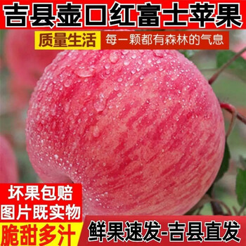 Jixian apples, bursting with sweetness, 2025 authentic jixian apples, crisp, sweet and juicy hukou apples, fresh fruit, whole box, straight from the origin, 8.5 catties, 80mm medium fruit, about 21 pieces, jixian hukou apples in season