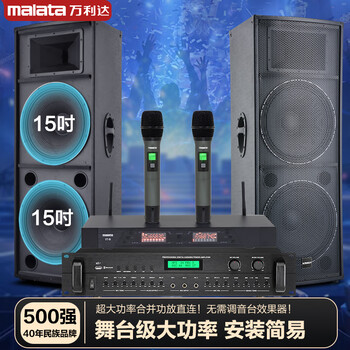 Wanlida outdoor audio set small and medium-sized performance stage wedding full-frequency high-power ktv bar speaker equipment dual 15-inch audio set + amplifier + microphone