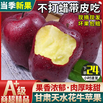 Jingcheng meijin authentic gansu tianshui huaniu apple fresh fruit seasonal big fruit snake red fruit crisp sweet noodles baby elderly box 9.5-10 jin selected large fruit 75-80mm