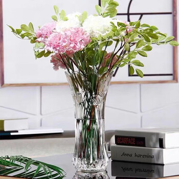 Extreme space glass vase vase green plant water culture ecological bottle flower container decorative ornaments relief vase