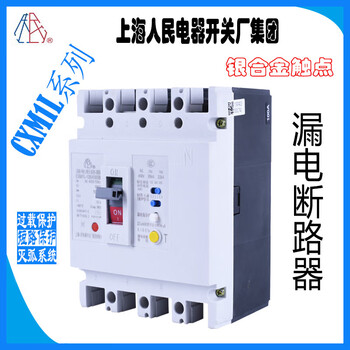Shanghai earth leakage circuit breaker-125/3300 250/4300b 400/3300 630/430yan cxm1l 500a 3p