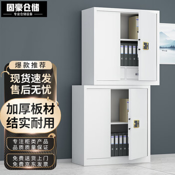 Guhao storage iron cabinet office file cabinet security cabinet steel anti-theft fingerprint password lock sectional file cabinet premium double section with pullout electronic fingerprint lock
