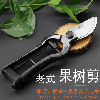 Old-fashioned wangershan fruit tree scissors, pruning shears, gardening scissors, labor-saving scissors, thick branch shears, pruning branch shears, universal branch shears