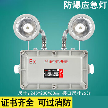 Explosion-proof emergency light led evacuation sign fire c lighting gas station ex explosion-proof exit indicator light standard model-explosion-proof emergency lighting