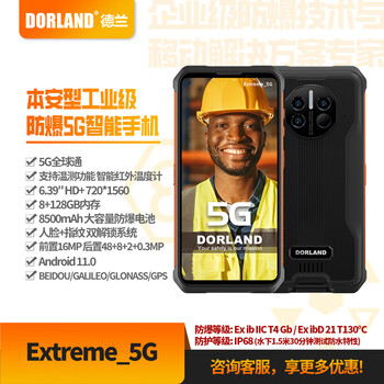 Delan intrinsically safe industrial smart 5g explosion-proof mobile phone extreme_5g memory 8+128g petrochemical industry