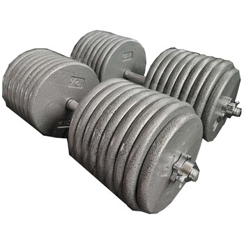 Hanshu heavy cast iron dumbbell set 20kg 30 50 80 100 200kg men's home fitness dumbbell silver 100kg single by 2