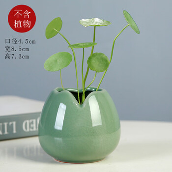 Small ceramic vase with dried flowers and stars, creative ge kiln hydroponic pothos vase ornaments, living room flower arrangement, home decoration ys-xin ge kiln-broken shell bottle (green)